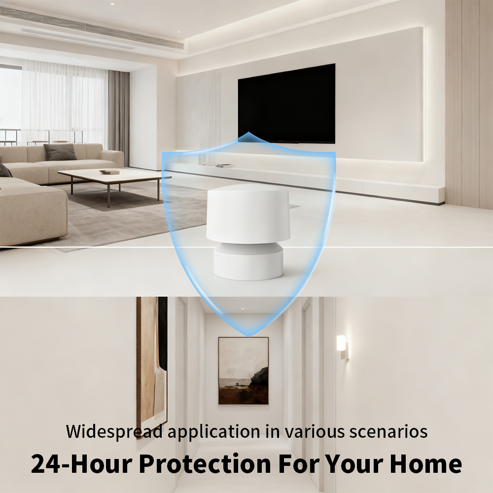 Zigbee of WiFi slimme aanwezig - Smart Home Retrofit recensie en prijs